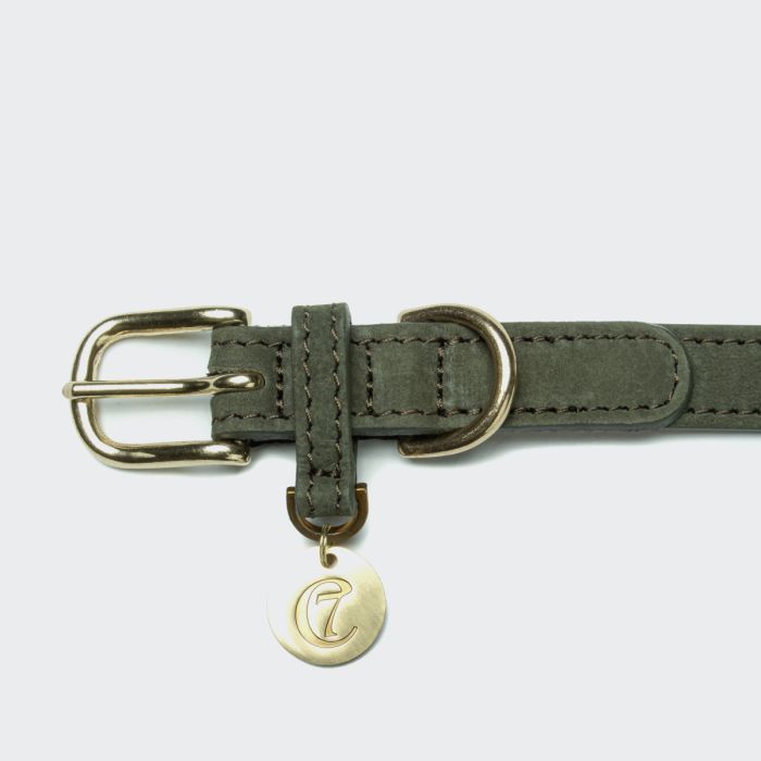 Нашийник для собак Cloud7 Tiergarten Зелений XXL