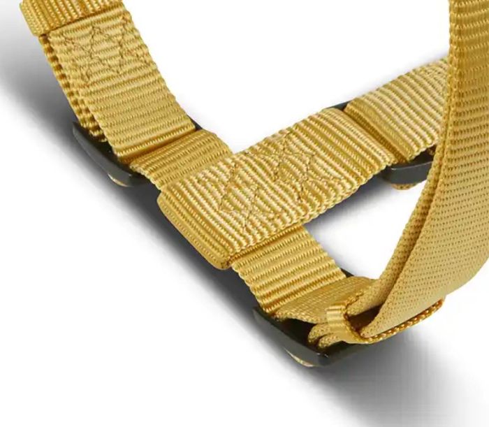 Анатомічна шлейка для собак Wolters Professional L 50-70 см / 20 мм Жовтий