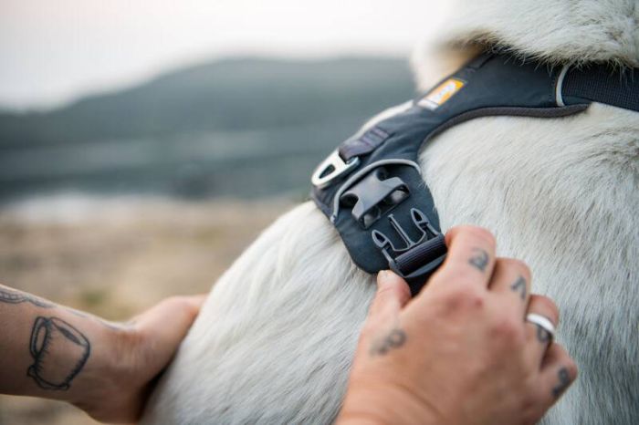 Повсякденний повідець для собак Ruffwear Front Range™ Сірий