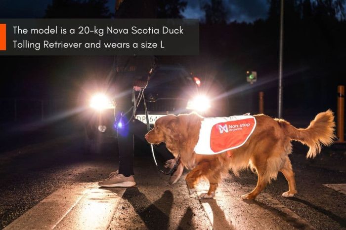 Світловідбивна попона Reflection blanket Non-stop dogwear Помаранчевий XS