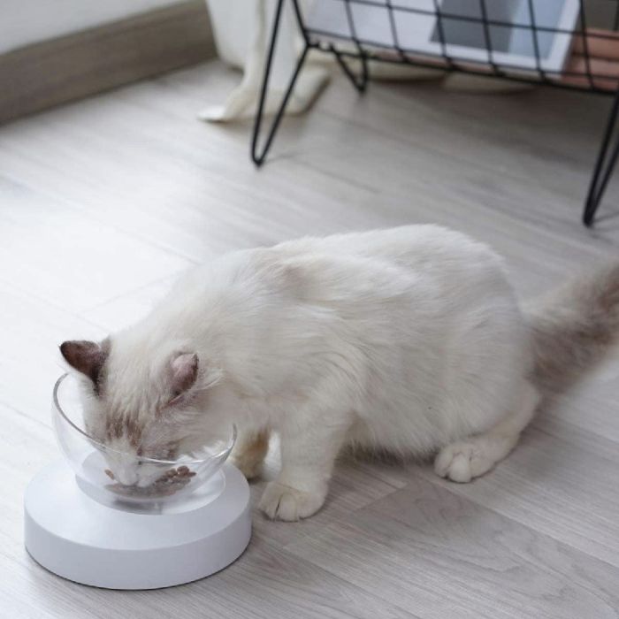 Підставка з мискою одинарною Infinite Future 450 мл 16,5  9,5 см 