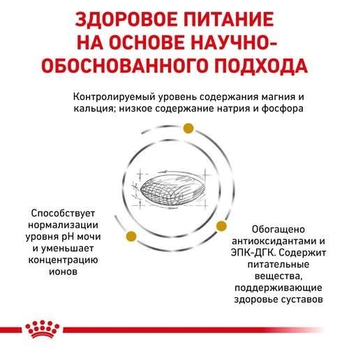 Royal Canin Urinary S  O Canine Ageing 7 + 85г вологий корм для сечовидільної системи собак старше 7 років 