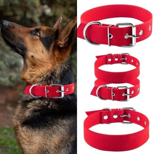 Нашийник для собак одинарний брезентовий, червоний 49-69 cм