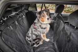 Чохол автогамак для собак на заднє сидіння Wolters Car Pet Backseat Cover