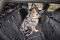 Чохол автогамак для собак на заднє сидіння Wolters Car Pet Backseat Cover
