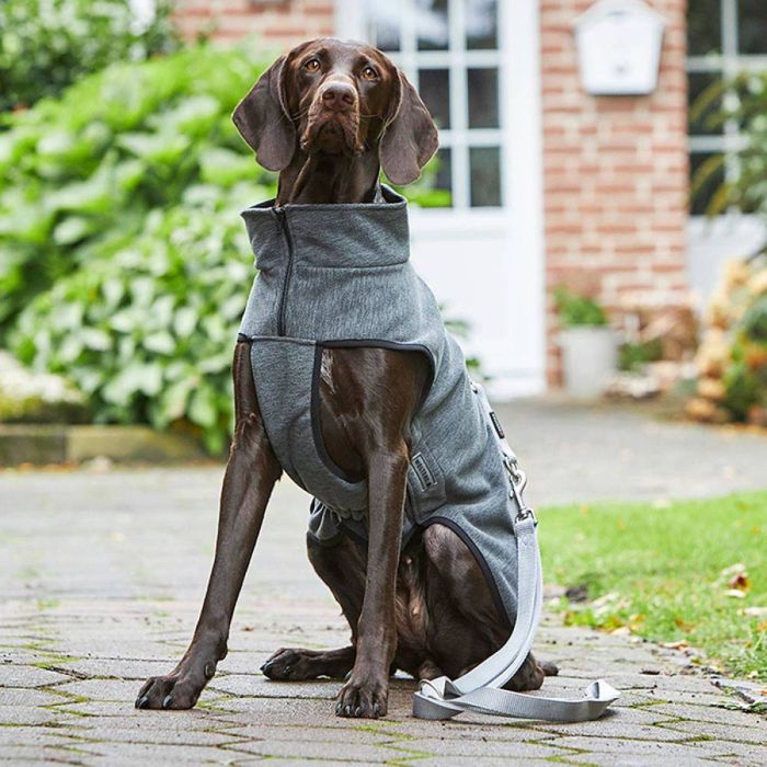 Флісова куртка для собак демісезонна Wolters Casual Сірий 26 см