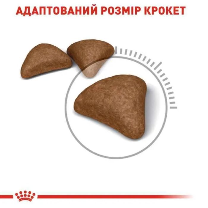 АКЦІЯ Royal Canin HAIRBALL CARE для виведення грудочок вовни набір корму для котів 2 кг + 4 паучі 
