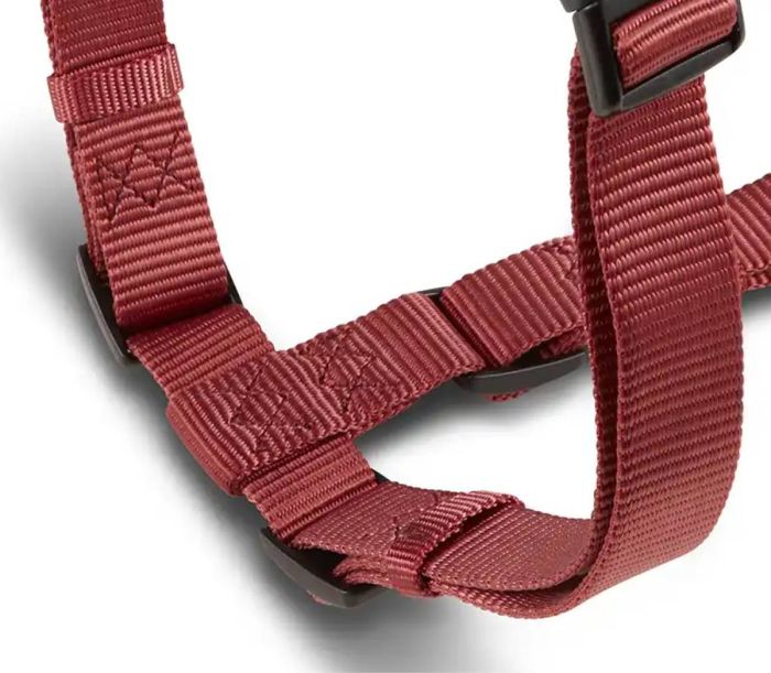 Анатомічна шлейка для собак Wolters Professional M 30-50 см / 15 мм Бордовий