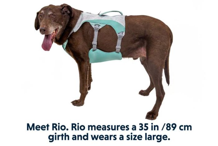 Охолоджувальна шлейка для собак Ruffwear Swamp Cooler™ XXS 33-43 см Зелений