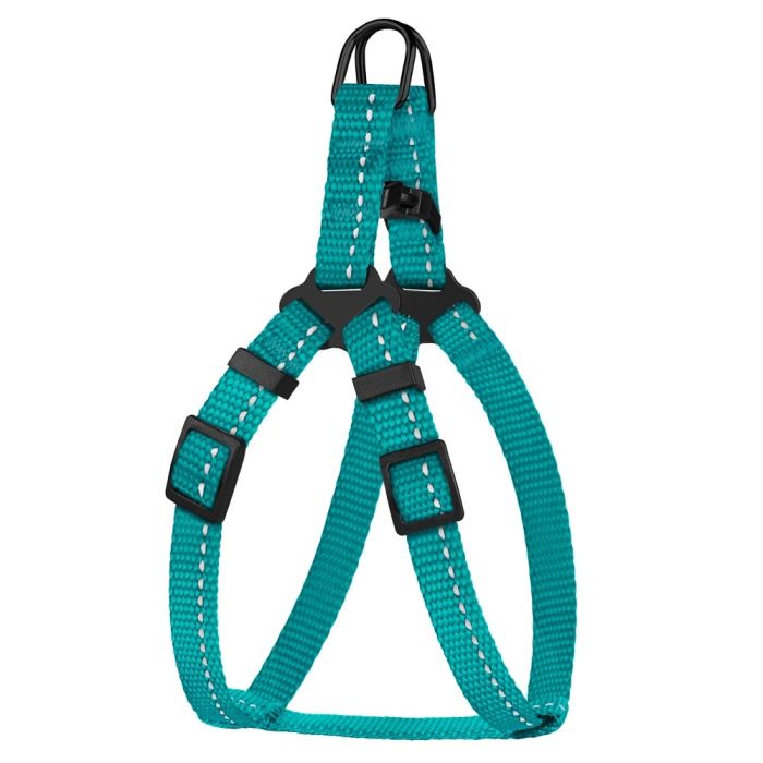 Шлея для собак BronzeDog Бірюза пластиковий фастекс 1225 68Т 10мм (24-30см)