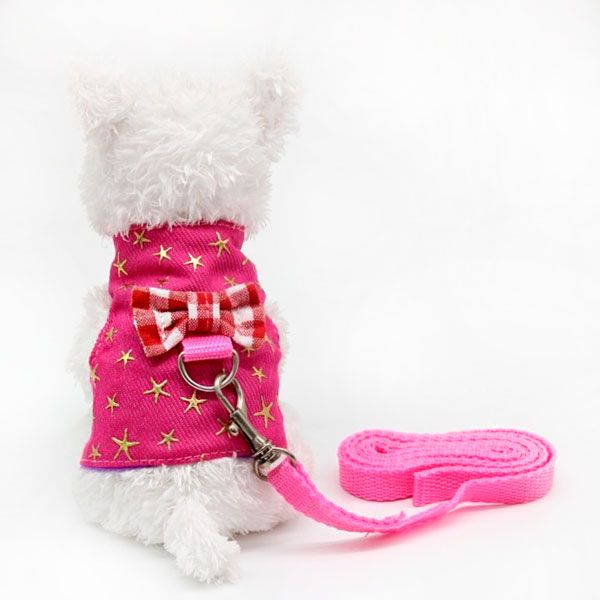 Шлея+повідець Рожева зірочка для гризунів M 