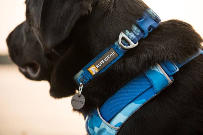 Повсякденний нашийник для собак Ruffwear Front Range™ 51-66 см Блакитно-синій
