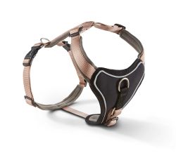 Шлейка для собак пом'якшена Wolters Professional Comfort 2А 45-50 см / 25 мм Шампань