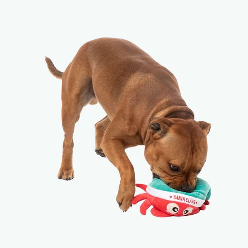 М'яка іграшка для собак FuzzYard Санта-Клішні