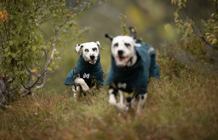 Дощовик для собак Non-stop dogwear Fjord lined Зелений 33