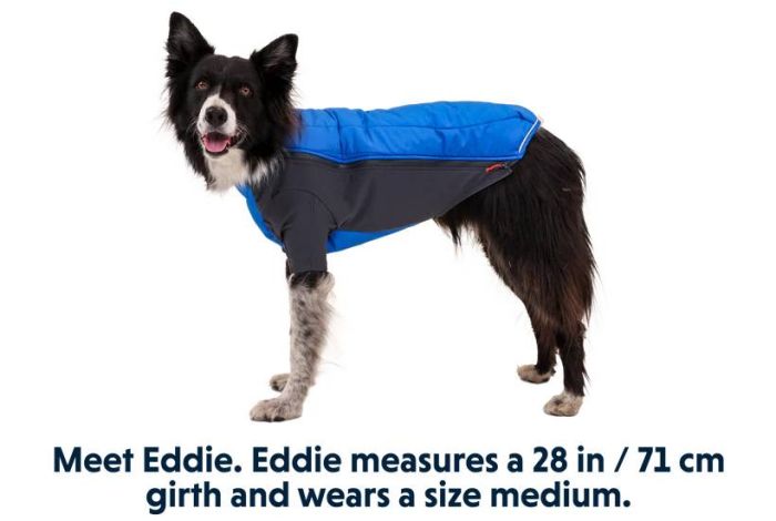 Зимова куртка для собак Ruffwear Powder Hound™ S Синій