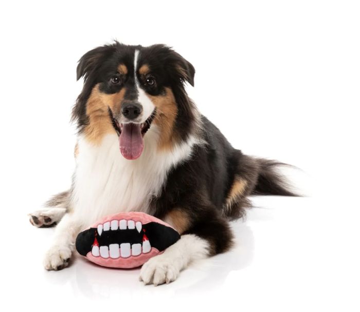 М'яка іграшка для собак FuzzYard Щелепа Дракули