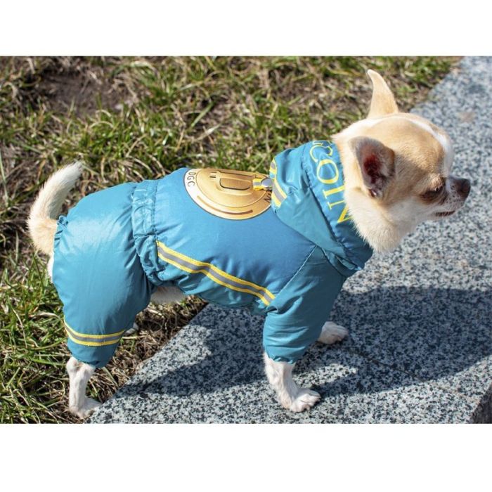 Комбінезон для собак хлопчиків на силіконі S2 пінчер