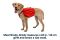 Шлейка-рюкзак для собак Ruffwear Palisades™ S Червоний