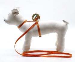 Комплект для гризунів Хомка, 21-35 см помаранчевий