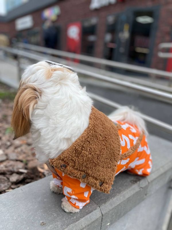 Сахара комбінезон на овчині і силіконі для собак дівчаток S1