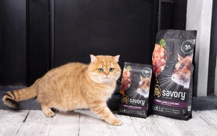 Savory Adult Cat Сухий корм для кастрованих котів зі свіжим мясом ягняти і куркою 8 кг