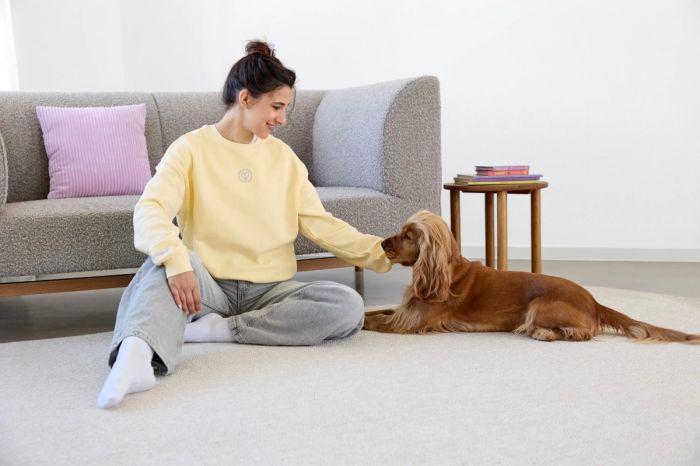 Світшот для власників собак Palopa Жовтий M