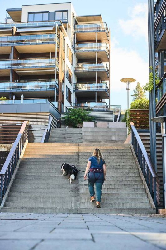 Пояс для прив'язі собак Trekking belt 2.0 Non-stop dogwear Фіолетовий M