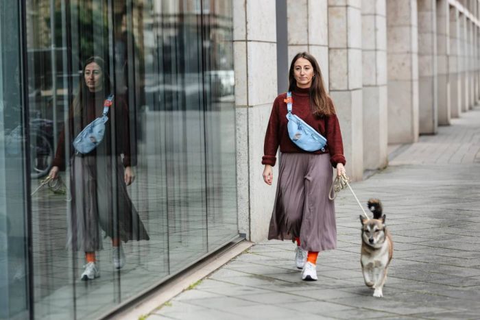 Поясна сумка-бананка для ласощів та аксесуарів собак Palopa Emma Небесно-блакитний