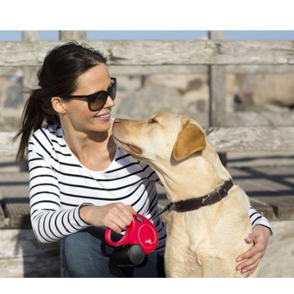 Рулетка Flexi Classic S-стрічка 5м до 15 кг Синя, 5м до 15 кг