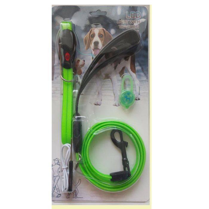 Нашийник 55 см, брелок і повідець 1,2 м набір для собак CTY-0111 Зелений