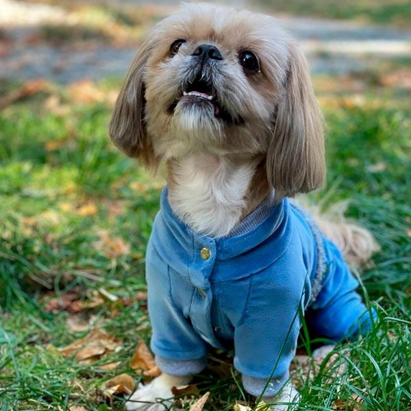 Комбінезон Колорит велюр (хлопчик) S