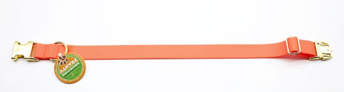 Нашийник Franty Сяйво біотан 25 мм  30-51 см. Салатовий