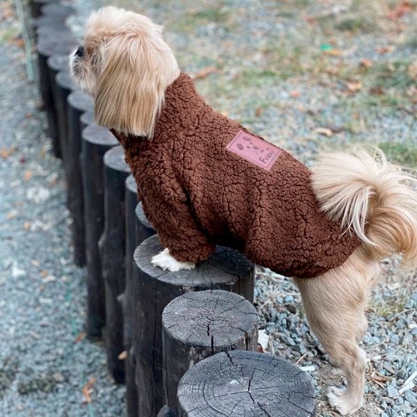 Кофта Вінні на овчині (хлопчик) XS