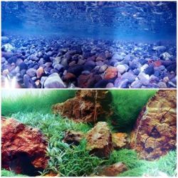 Фон для акваріума двосторонній 40 см х 15м 1345 