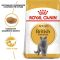 АКЦІЯ Royal Canin British shorthair корм для кішок британська короткошерста 2 кг+ 4 паучі 
