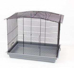 Клітка Лорі Комбі Фарба