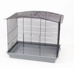 Клітка Лорі Комбі Фарба