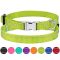 Нашийник ACTIVE для собак дрібних порід нейлоновий зі світловідображенням 10мм 18-28см Салатовий 