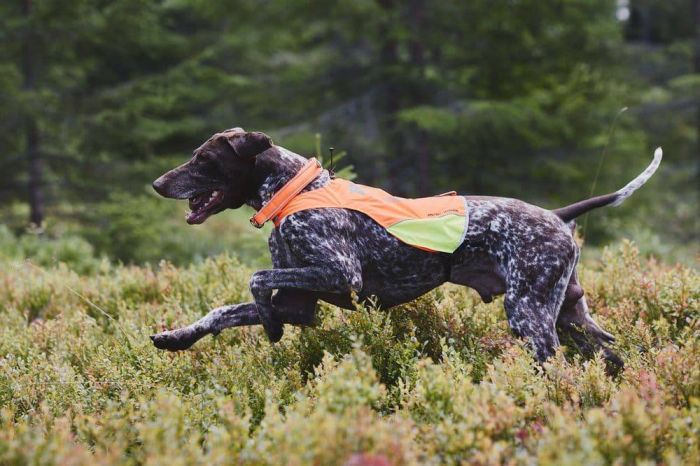 Світловідбивна накидка Protector cover Non-stop dogwear Помаранчевий L