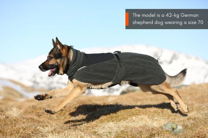 Вовняна куртка для собак Wool dog jacket Non-stop dogwear Бежевий 70