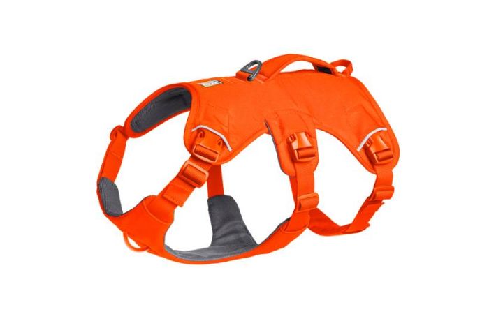 Підтримуюча шлейка для службових собак Ruffwear Web Master™ L/XL 81-107 см Яскраво-Помаранчевий