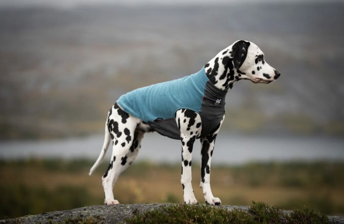 Флісовий пуловер для собак Non-stop dogwear Trail Quest Fleece Pullover Бірюзовий 70