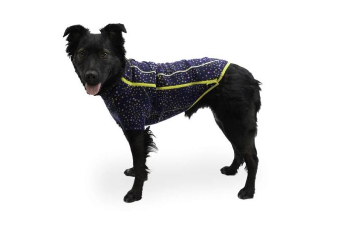 Флісова куртка для собак Ruffwear Climate Changer™ XL Синьо-фіолетовий