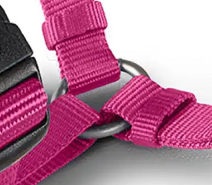 Анатомічна шлейка для собак Wolters Professional ХS 25-35 см / 10 мм Малиновий