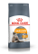 Royal Canin Hair  Skin 33 (Роял Канін Хеїр енд скін) для кішок з проблемною шерстю і чутливою шкірою 10 кг