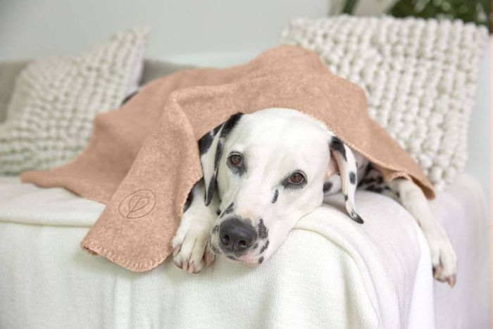 Плед для собак Palopa Mathilda Бежевий М