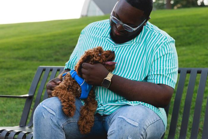 Повсякденна шлейка для собак Ruffwear Front Range® XS 43-56 см Синій