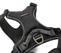 Шлейка для собак пом'якшена з ручкою Wolters Active Pro Comfort 5 60-75 см Чорний