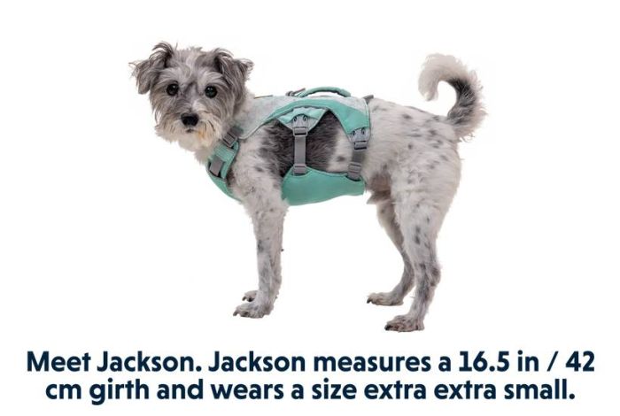 Охолоджувальна шлейка для собак Ruffwear Swamp Cooler™ XXS 33-43 см Зелений